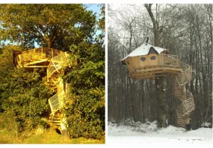 Cabane perchée dans les bois