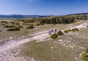 Chemins sur le Causse Méjean