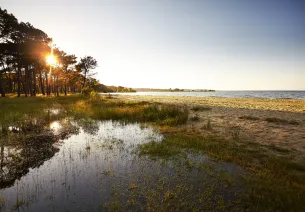 Couché de soleil sur les grands lacs - Biscarosse