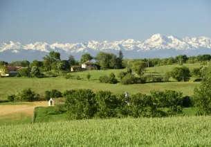 Exploitation agricole dans le Gers