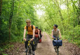 Exploration de la forêt de Fontainebleau