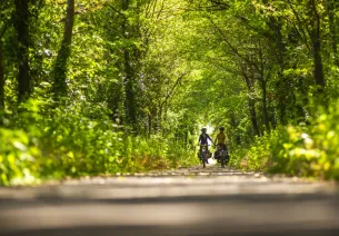 voie verte la flèche baugé sur la vélobuissonière