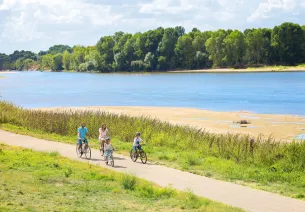 Bords de Loire