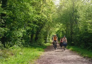 Balade en forêt de Fontainebleau le long de La Scandibérique en Seine-et-Marne