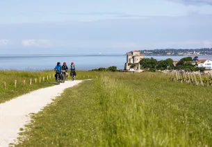 L'estuaire de la Gironde en panoramique 