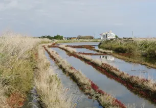 Noirmoutier de marais en moulins