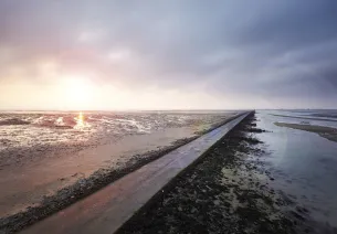 Noirmoutier du passage du Gois aux forêts de pins