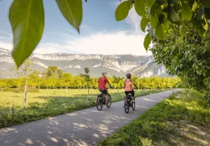 Cyclistes au milieu des noyeraies