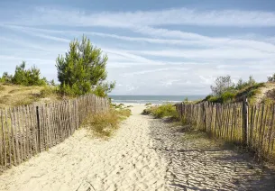 Cap sur l’océan : de Bordeaux aux plages sauvages du Médoc