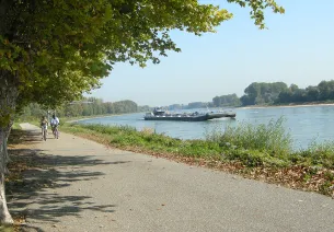 A vélo le long du Rhin entre Strasbourg et Lauterbourg
