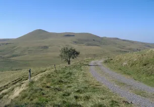 Piste pastorale du Cantal à VTT