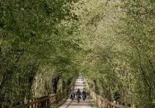 À travers le bocage sur le voie verte entre Briouze et Bagnole de l'orne