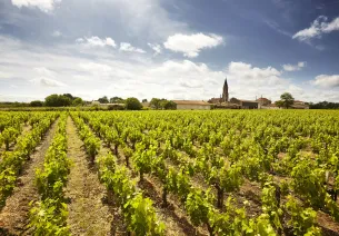 Les vignobles du Médoc à vélo