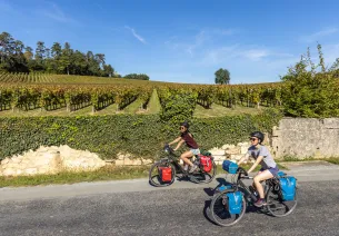 Vignoble et vélo en Gironde