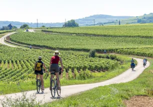 Depuis Dijon : la Voie des Vignes