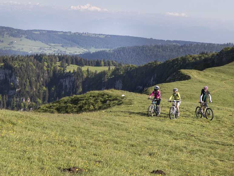 Sur les crètes du Mont d'Or