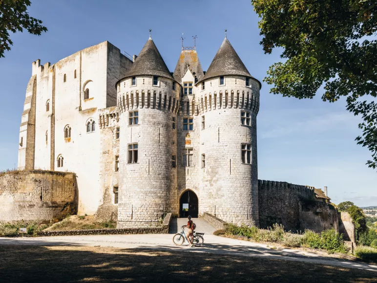 Nogent le Rotrou, cité des comtes du Perche