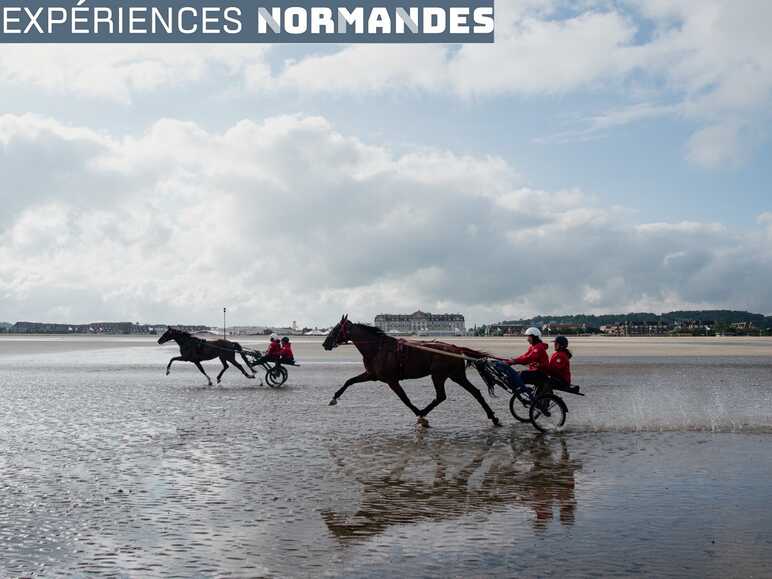 Baptême de « Sulky » sur la plage de Deauville