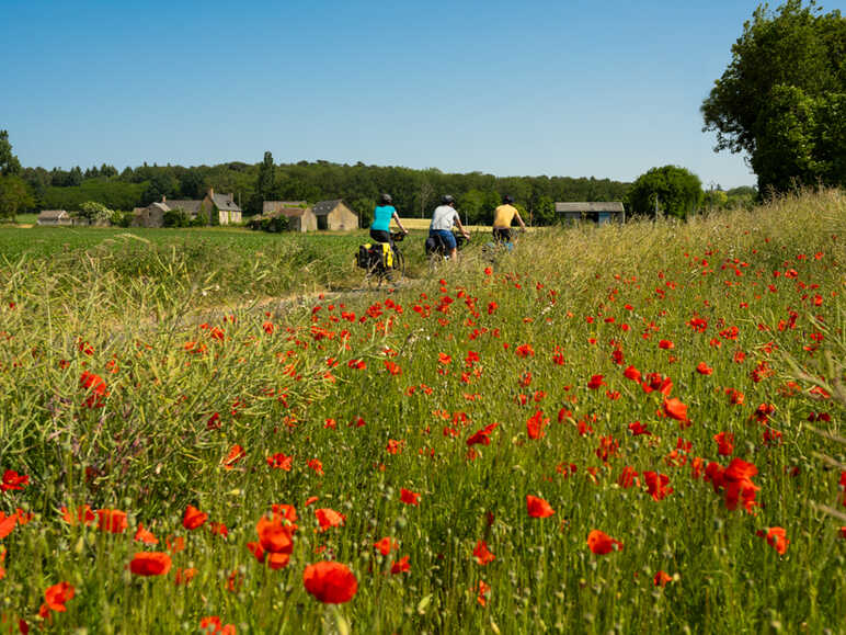 Vallée de la Sarthe