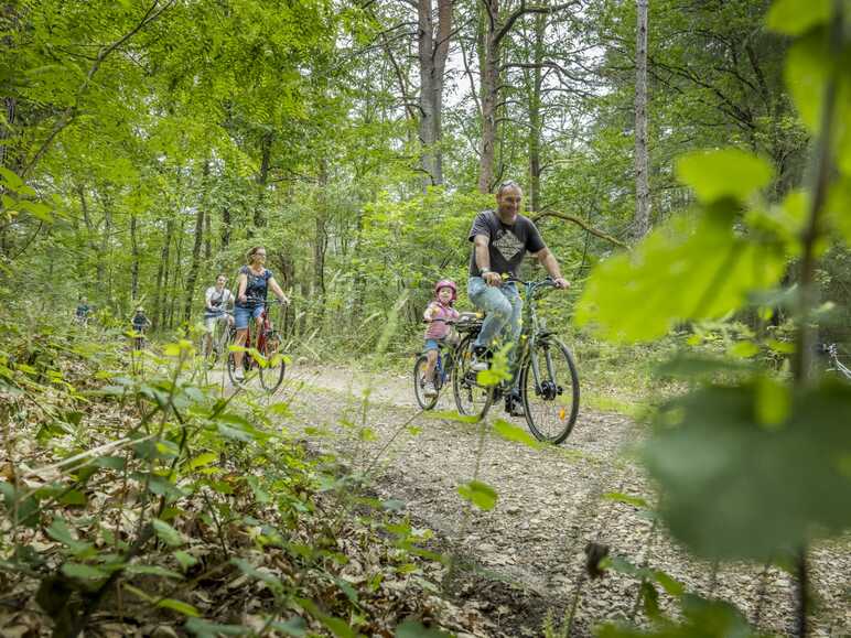 La Sologne à Vélo, au cœur de la forêt à travers des villages solognots