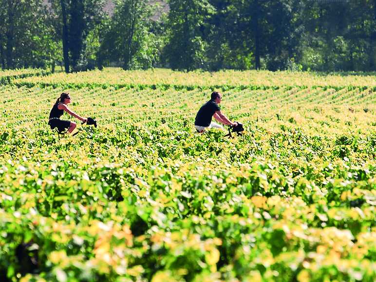 Découverte du vignoble de la Côte de Beaune