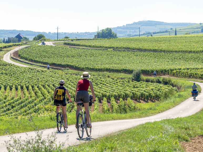 La Bourgogne à Vélo