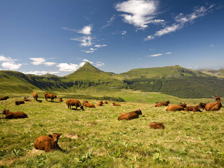 Le Cantal, clou du spectacle 