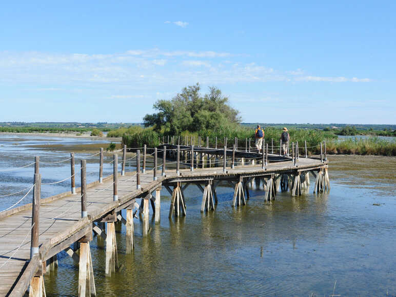 Centre de Scamandre en Camargue