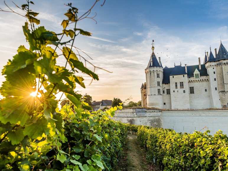 Château de Saumur