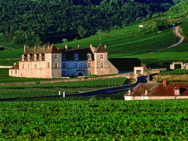 Le Clos de Vougeot