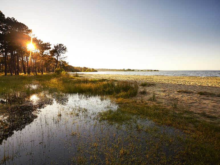 Couché de soleil sur les grands lacs - Biscarosse