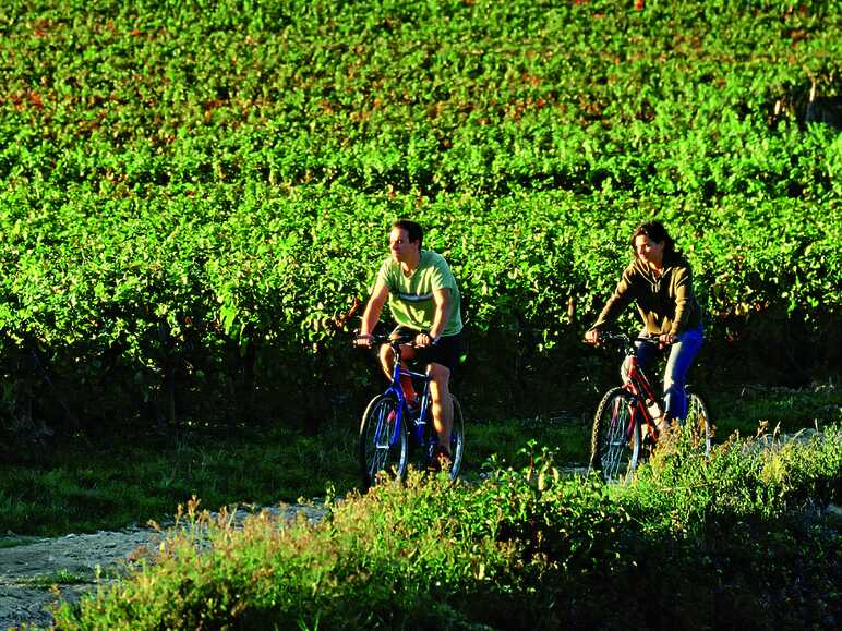 Les vignes et vergers de l'Auxerrois