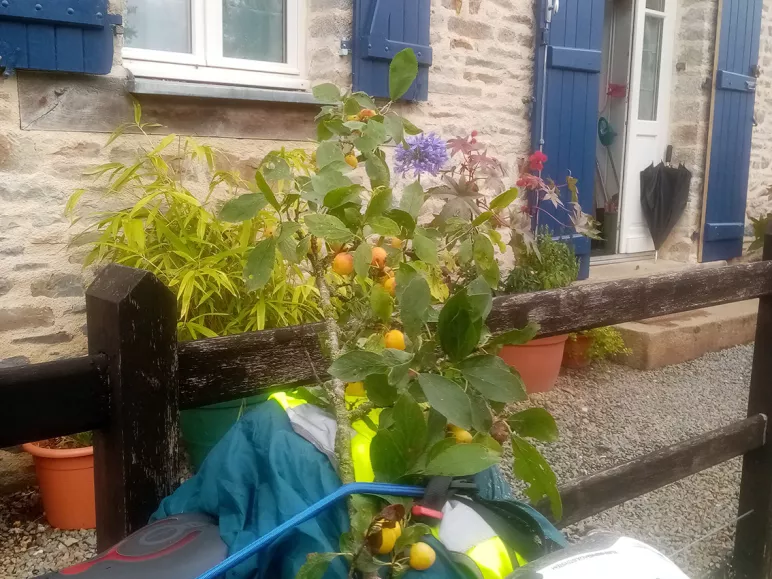 Étape 3 - Guipry > Tinténiac - 84km (de pluie ?️)