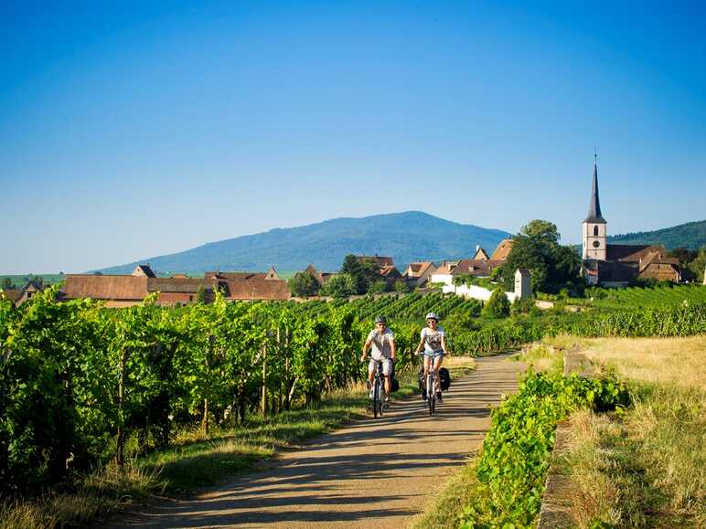 Véloroute du Vignoble