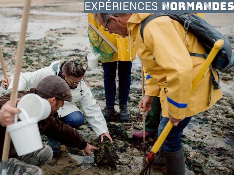 Partie de pêche à pied à Luc-sur-Mer