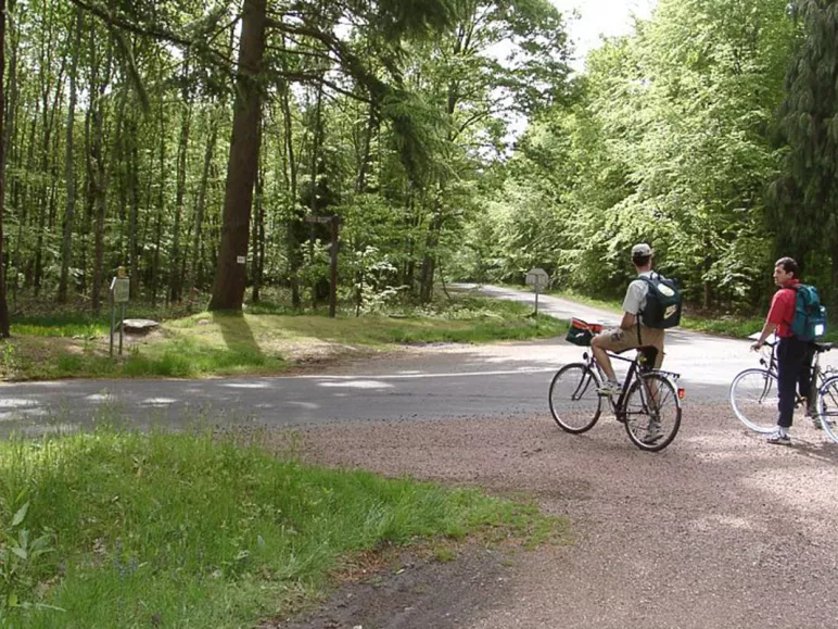 Escapade dans la forêt domaniale de Bercé à vélo