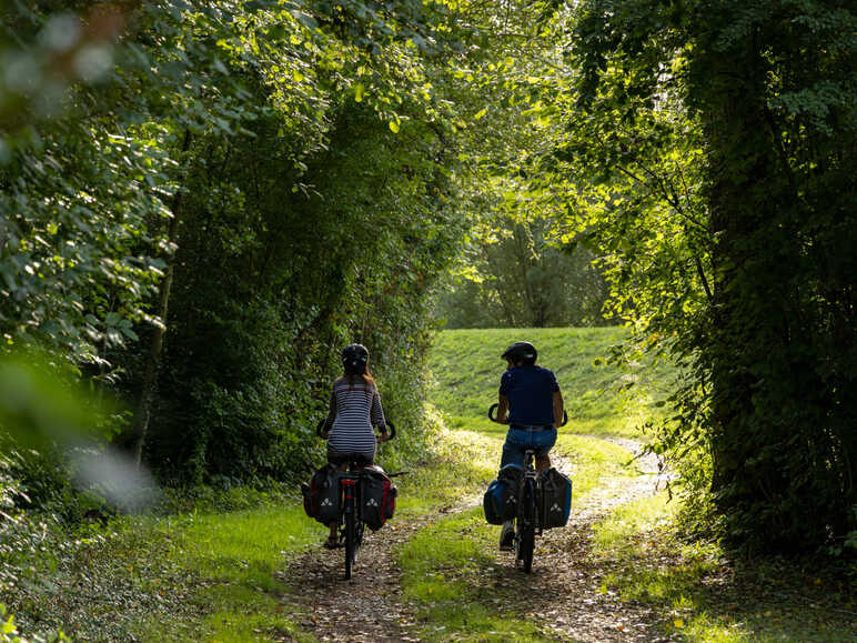 Dans la forêt de Compiègne à vélo - La Scandibérique