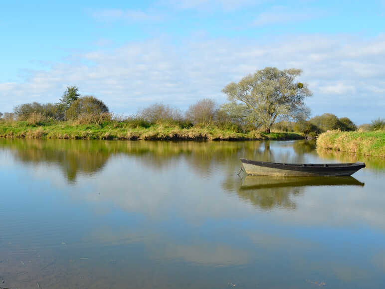 Lac de Grand-Lieu