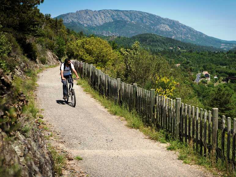 Aux abords du Caroux sur la PassaPaïs