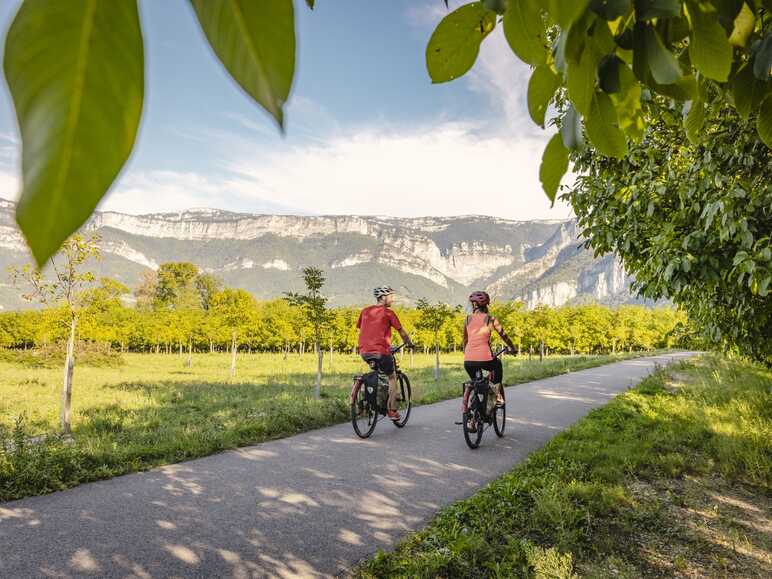 Cyclistes au milieu des noyeraies