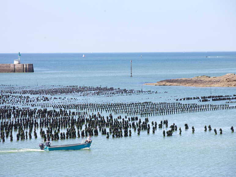 Oyster-rearing in Kercabellec Bay