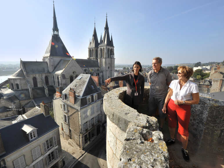 Panorama sur Blois et l'église Saint-Nicolas