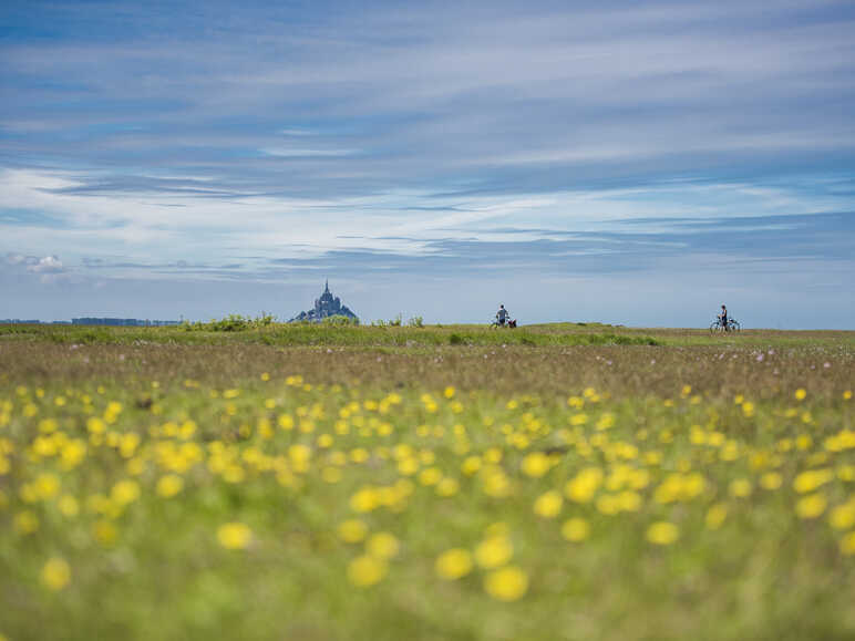 Travelling autour du Mont-Saint-Michel