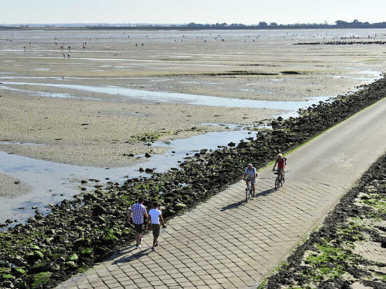 Le passage du Gois à vélo