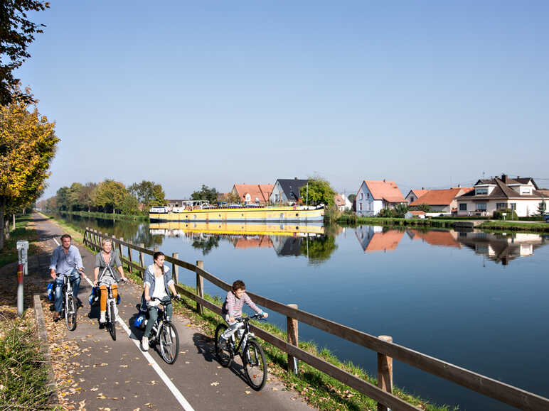 Piste cyclable de l'Eurovélo 15 le long du Rhin vers Strasbourg