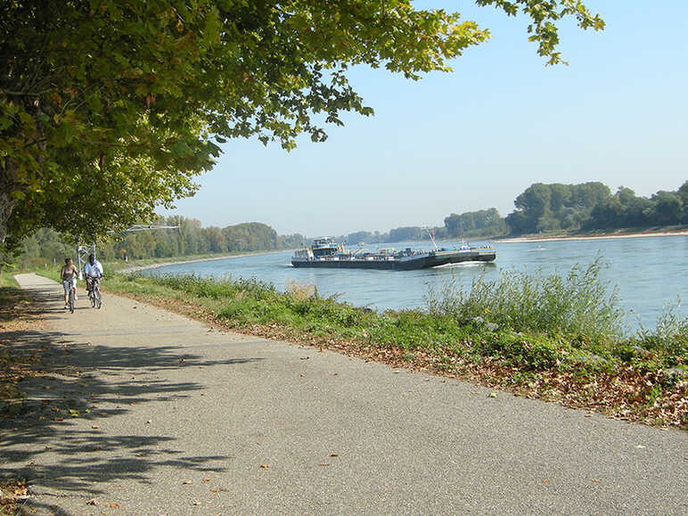 A vélo le long du Rhin entre Strasbourg et Lauterbourg