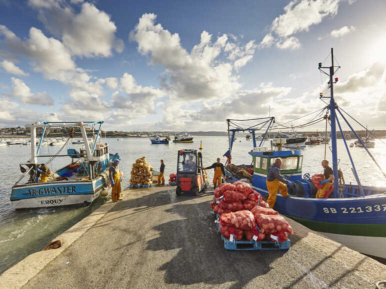 Port de pêche de Paimpol