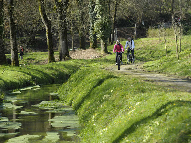 Rigole d'Hilvern à vélo - Voie 8