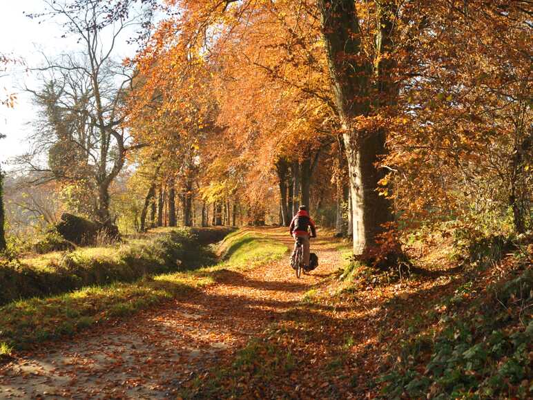 Rigole d'Hilvern à vélo