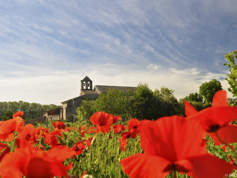 Salagon, musée et jardin botanique